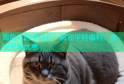 海角社区卡钻石：解锁平特福利，享受无限优惠