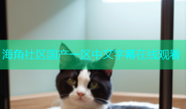 海角社区国产一区中文字幕在线观看
